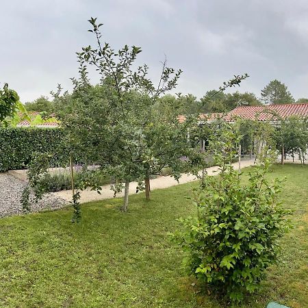 O'Pintxo Bed & Breakfast Onesse-et-Laharie Dış mekan fotoğraf