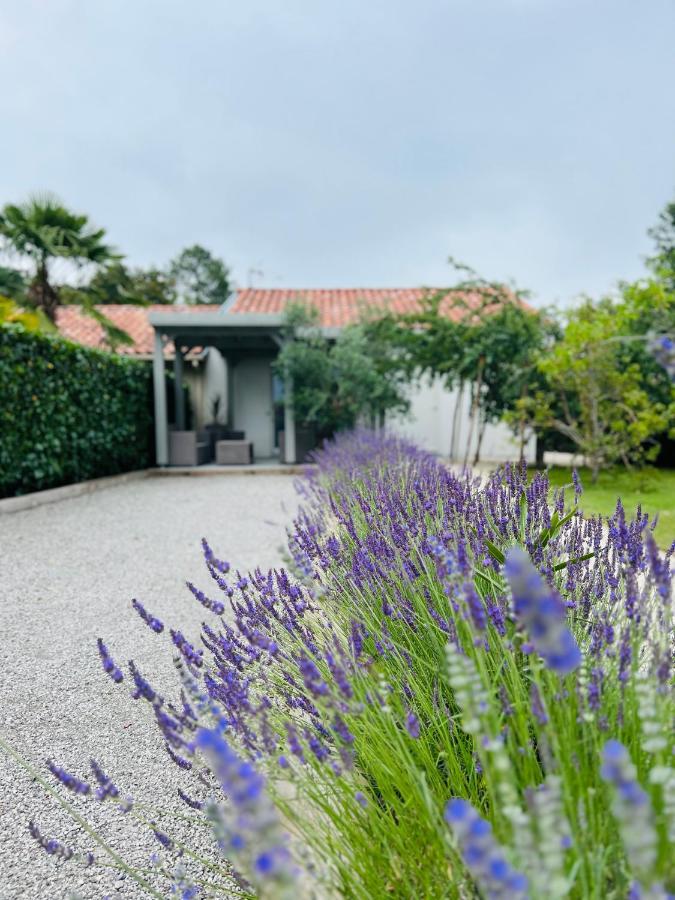 O'Pintxo Bed & Breakfast Onesse-et-Laharie Dış mekan fotoğraf
