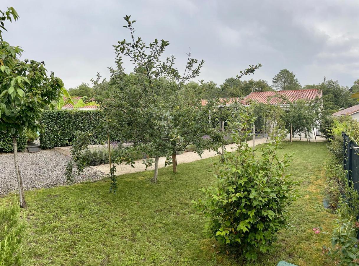 O'Pintxo Bed & Breakfast Onesse-et-Laharie Dış mekan fotoğraf